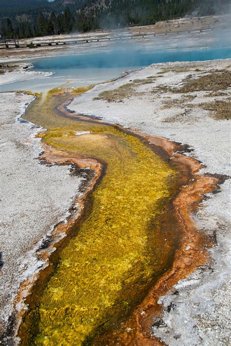 Geology Geothermal Steam - Free photo on Pixabay - Pixabay