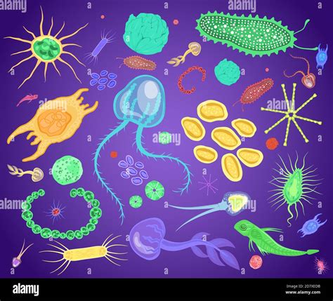 Zooplankton microscope Stock Vector Images - Alamy