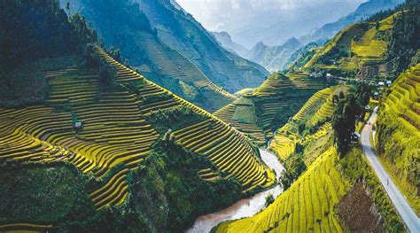 10 Most beautiful rice fields in Vietnam + best season 2024 | localvietnam