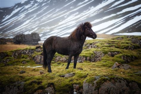 Top 10 Nature Photo Contests to Enter in 2023 - VIEWBUG.com