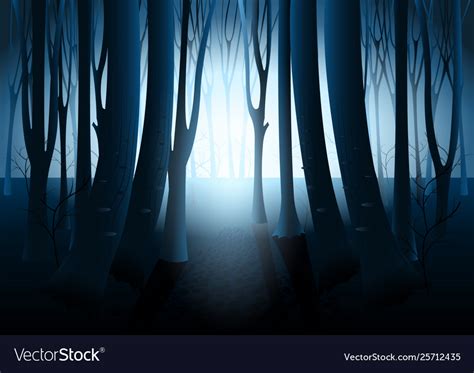 Dark mysterious forest Royalty Free Vector Image