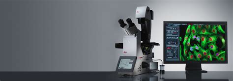 Fluorescence | Applications | Leica Microsystems