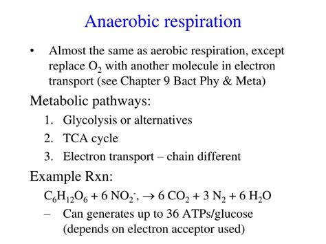 Simple Anaerobic Respiration In Bacteria Equation Math Aa Sl Formula ...