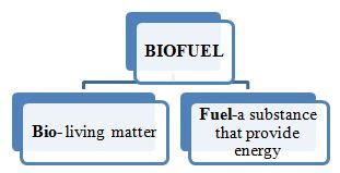 Biofuel: Types, Uses & Examples – StudiousGuy