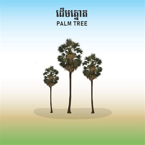 Premium Vector | Cambodia Palm Tree in Khmer Tnaot