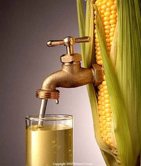 Federal Subsidies for Corn Ethanol and Other Corn-Based Biofuels | Taxpayers for Common Sense