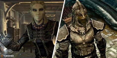 The Best Builds For High Elves In Skyrim