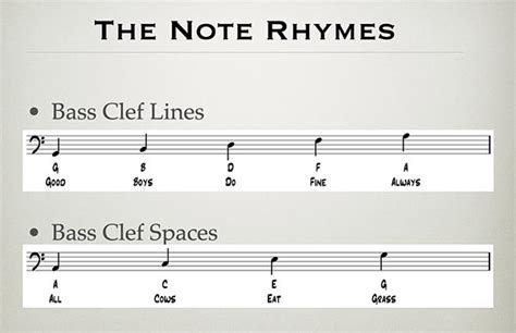 Bass Clef - Music Theory Academy