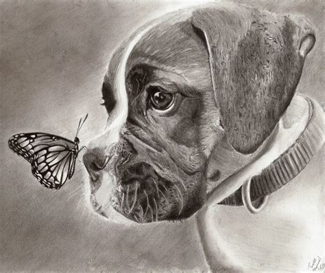 Dog and Butterfly by TeSzu on deviantART | Dog drawing, Dog paintings ...