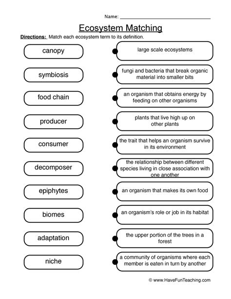 Matching - Ecosystems Worksheet 2