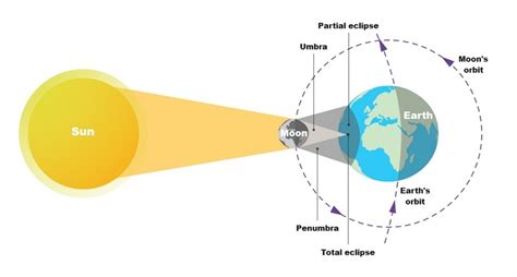 Solar Eclipse Diagram Labeled