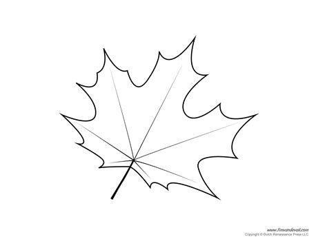 Leaf Templates & Leaf Coloring Pages for Kids | Leaf Printables – Tim's Printables