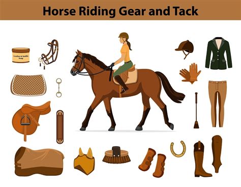 Horse Riding Gear for Beginners Guide - Fauna Care