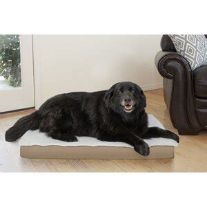 Wayfair | Dog Beds You'll Love in 2022