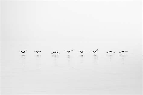 6 Important elements in minimalist photography, and why they work | Minimalist photography ...