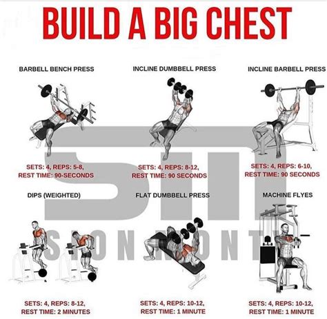 Ultimate Infotek: Best chest workout for mass