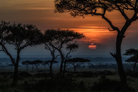 Africa Sunset Image | Sunset images, Africa sunset, Africa sunrise