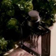 1881 Essentiel Cerruti cologne - a fragrance for men 2018