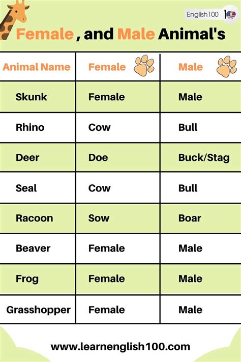 Female and Male Animals' Names in English! - English 100