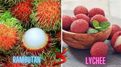 Rambutan vs Lychee - Differences? - acethekitchen.com