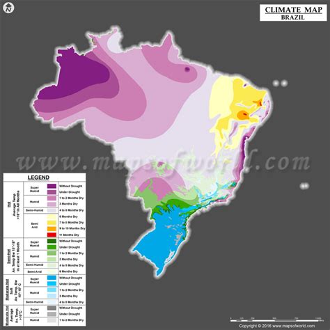 Sip Collar Flojamente brazil climate map pegatina neutral Modales