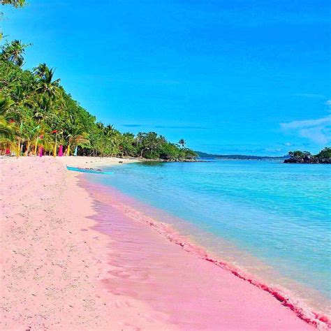 Pink Beaches in the Philippines You Won’t Believe Are Real - Fravel