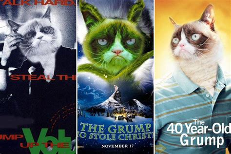 Movies I would pay to see. | Grumpy cat, Grumpy cat movie, Grumpy