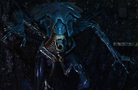 Fandomania » The Xenomorph Queen Is NECA’s Biggest Aliens Figure Yet