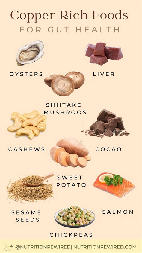 Copper Rich Foods for Gut Health | Gut health recipes, Dog food recipes, Food facts