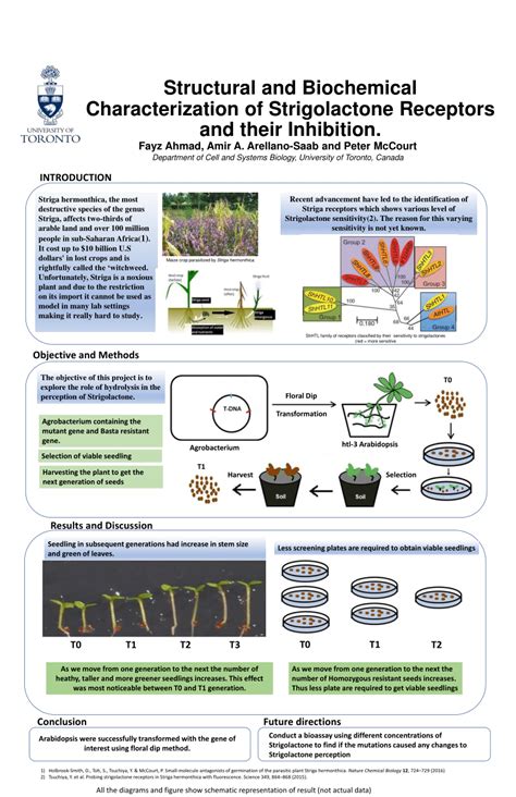 (PDF) Structural and Biochemical Characterization of Strigolactone Receptors and their Inhibition