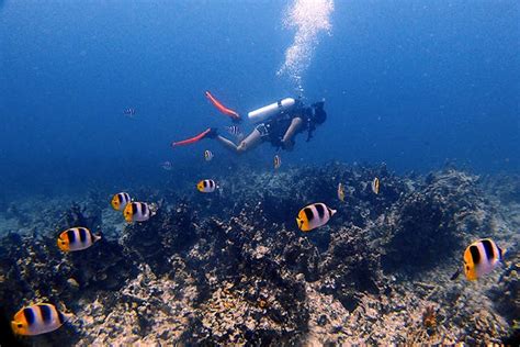 Guam Beach Diving! Beginner & Advanced Dives | Ocean Adventures