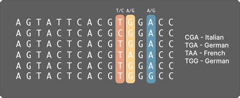 Which is the best autosomal DNA test & why should you do it?