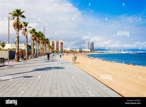 Playa de la Barceloneta city beach in the centre of Barcelona city ...