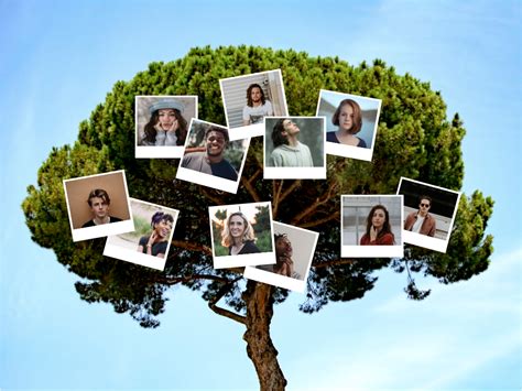 Tree Photo Family Tree Collage | Family Tree Template