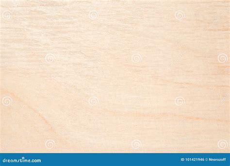 Birch Wood Texture Royalty-Free Stock Photography | CartoonDealer.com ...