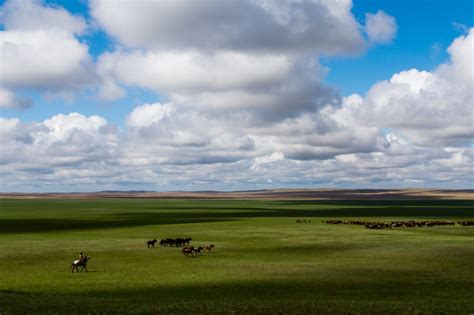 Kazakh Steppe, About Kazakh Steppe Climate, Location, Guide