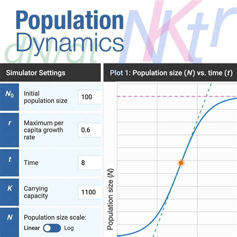 Population Dynamics