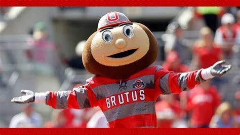 🔥 [50+] Brutus Buckeye Wallpapers | WallpaperSafari