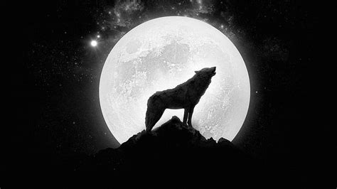 HD wallpaper: howling wolf under moon wallpaper, moonlight, fantasy, nature | Wallpaper Flare