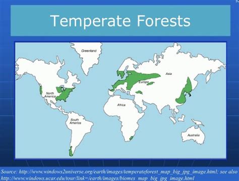 This map my professor used to show the temperate forests of the world. It’s moments like these I ...