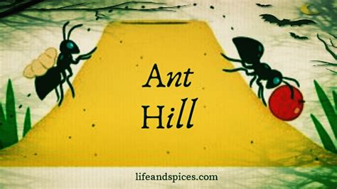 ANT HILL - Prologue – Life and Spices