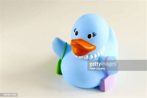 60 Rubber Duck Collection Stock Photos, High-Res Pictures, and Images - Getty Images