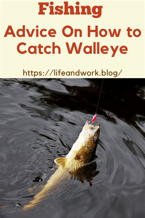 Walleye fishing lures – Artofit