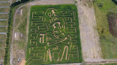 Haunted Corn Maze - Bella Organic Farm - Organic Farm and Winery - Portland, OR