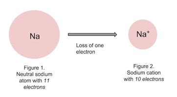 Cation | Definition, Formation & Examples - Lesson | Study.com