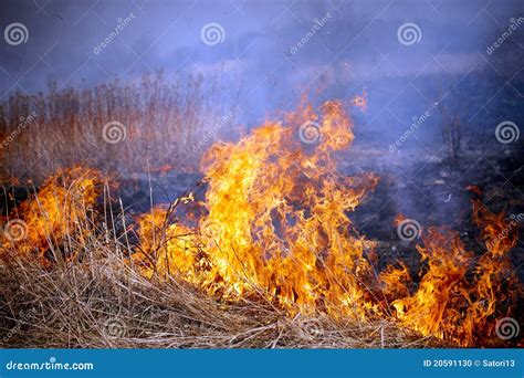 Grass fire stock photo. Image of field, land, orange - 20591130