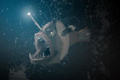 Angler Fish Facts For Kids | Angler Fish Diet & Habitat