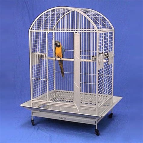 3 Comfortable Macaw Bird Cages - Designs & Shapes - CuteParrots