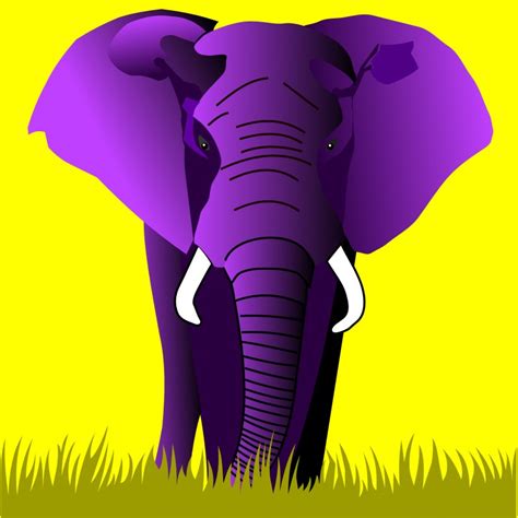 Elephant Purple Animals Clip Art, PNG, 1919x1920px, Elephant, African Elephant, Animal, Blue ...