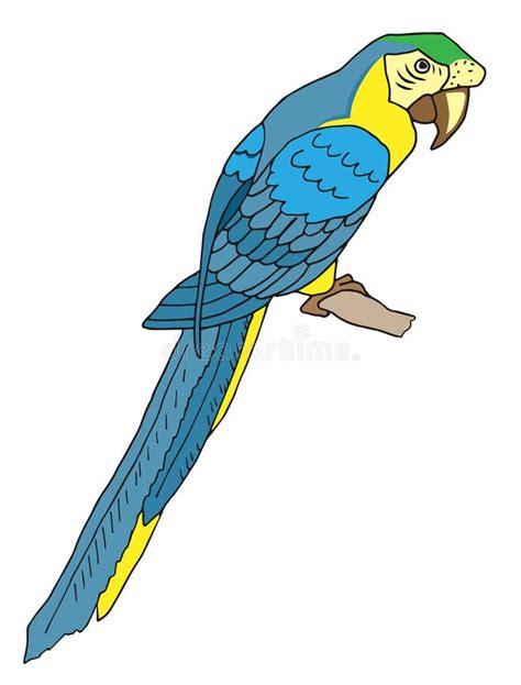 Glaucous Macaw Stock Illustrations – 4 Glaucous Macaw Stock Illustrations, Vectors & Clipart ...